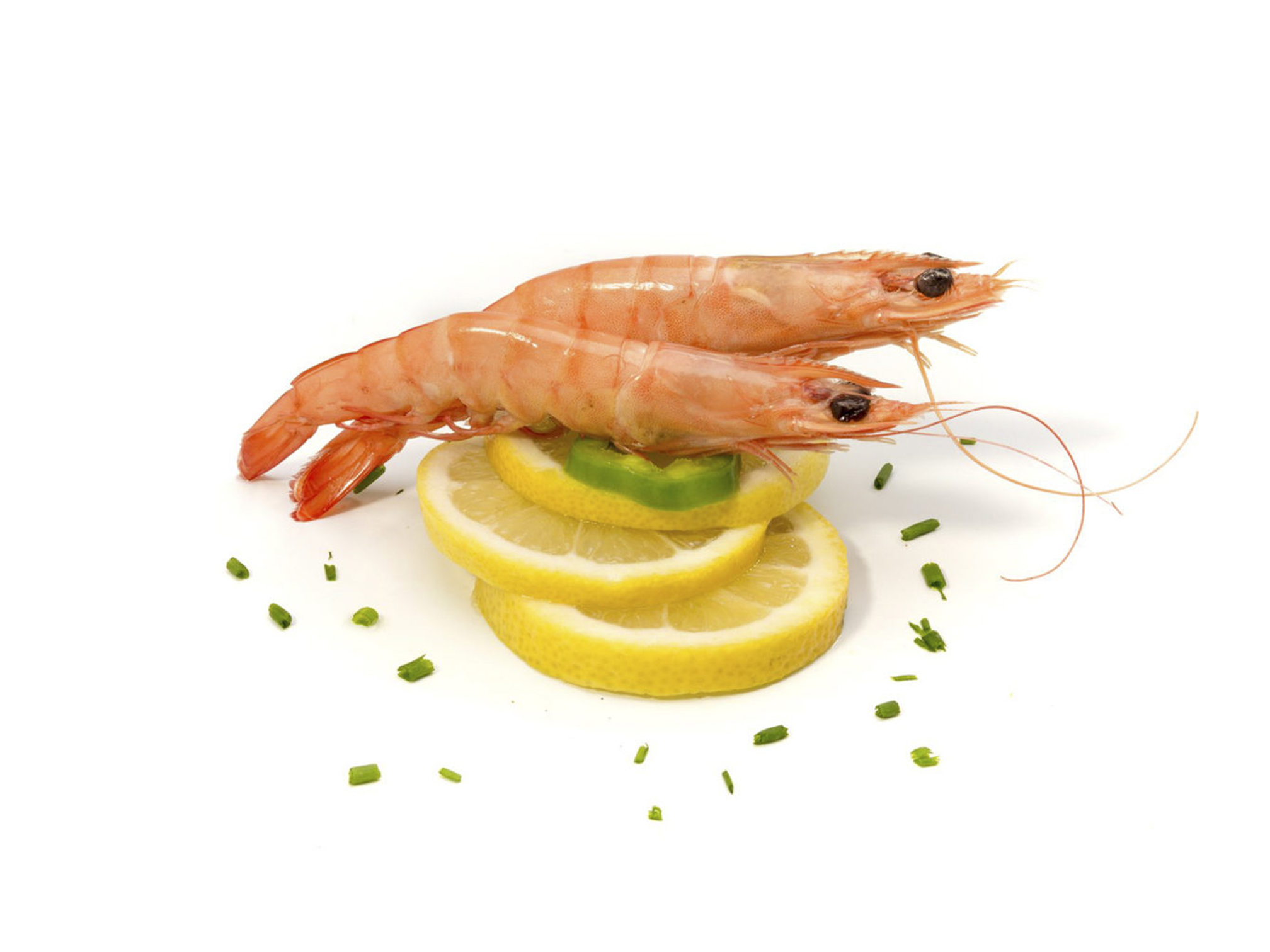 Langostino Blanco 0