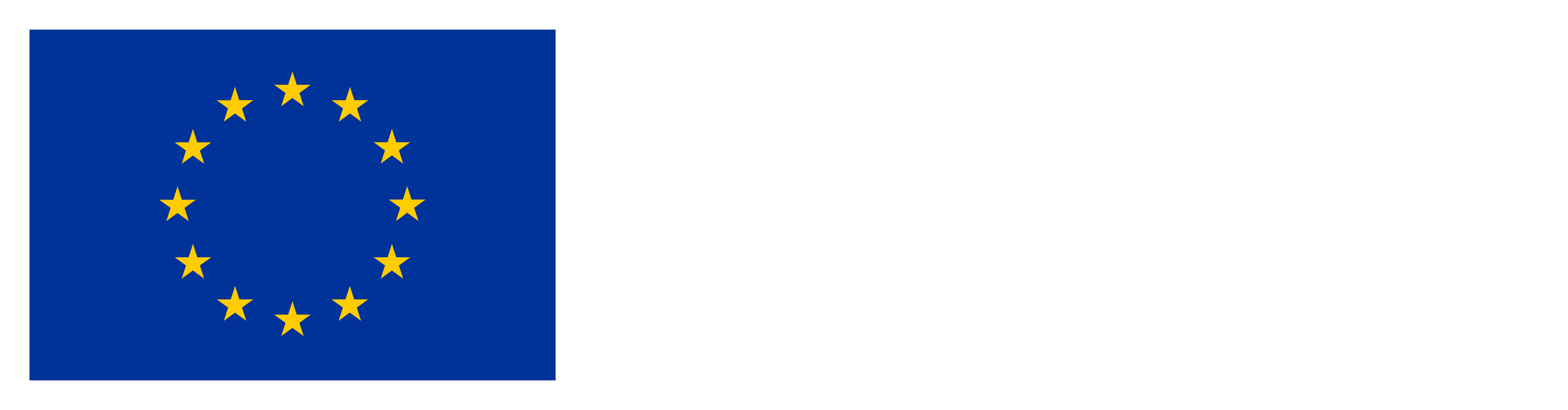 ES_Financiado_por_la_Union_Europea_RGB_NEG